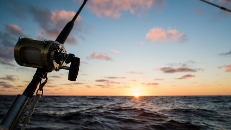 Our Complete Guide To Fishing On The Outer Banks